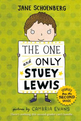 Книга The One and Only Stuey Lewis Jane Schoenberg