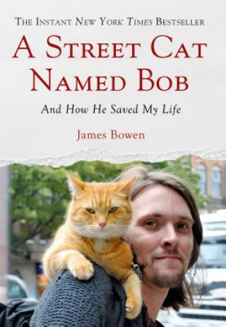 Könyv STREET CAT NAMED BOB James Bowen
