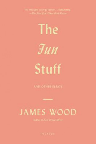Kniha The Fun Stuff James Wood