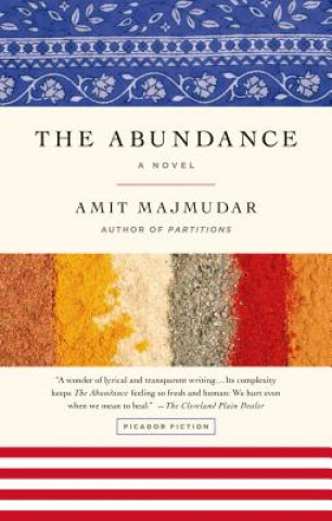 Kniha The Abundance Amit Majmudar