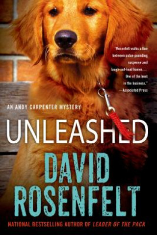 Kniha Unleashed David Rosenfelt