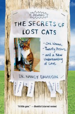 Kniha The Secrets of Lost Cats Nancy Davidson