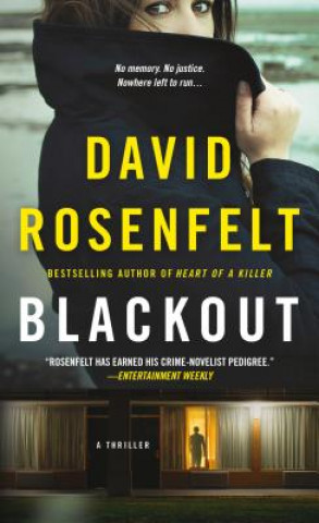 Buch Blackout David Rosenfelt