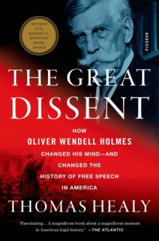 Carte The Great Dissent Thomas Healy