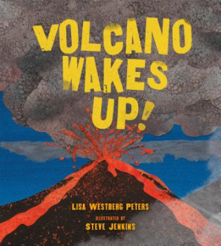 Knjiga Volcano Wakes Up! Lisa Westberg Peters