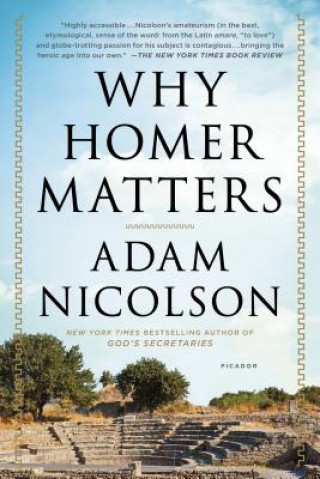 Könyv Why Homer Matters Adam Nicolson
