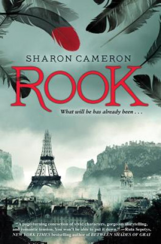 Kniha Rook Sharon Cameron