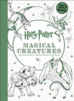 Könyv Harry Potter Magical Creatures Postcard Coloring Book Scholastic Inc.