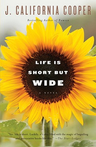 Livre Life Is Short but Wide J. California Cooper