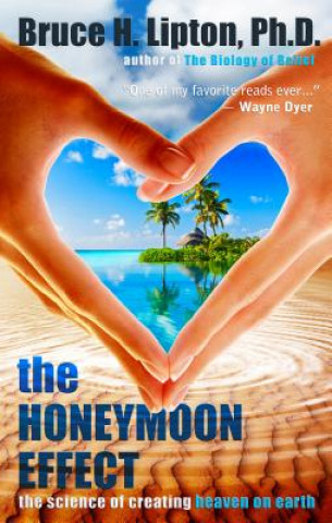Könyv The Honeymoon Effect Bruce H. Lipton