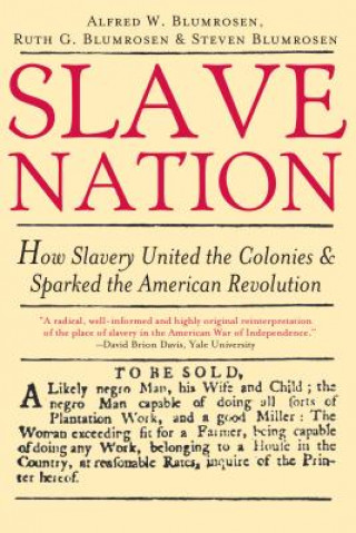 Buch Slave Nation Alfred W. Blumrosen