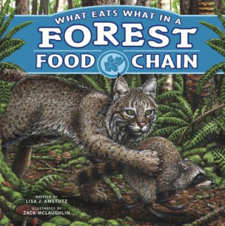 Könyv What Eats What in a Forest Food Chain Lisa J. Amstutz