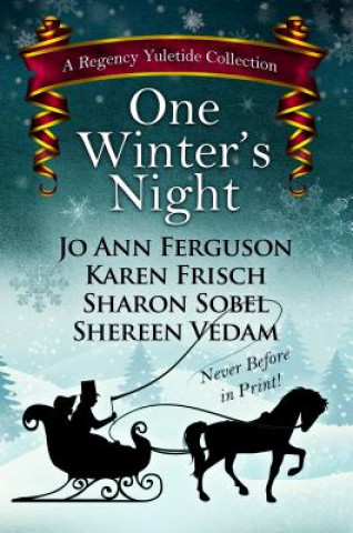 Buch One Winter's Night Jo Ann Ferguson