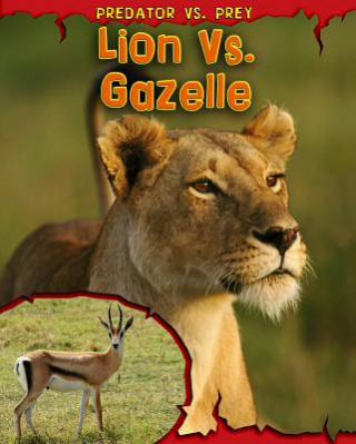 Kniha Lion Vs. Gazelle Mary Meinking