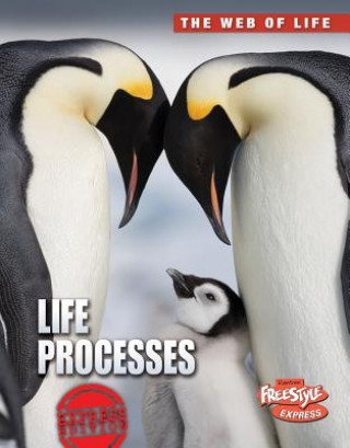 Libro Life Processes Anna Claybourne