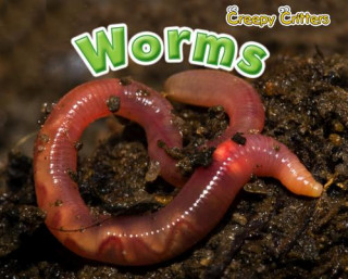 Knjiga Worms Sian Smith