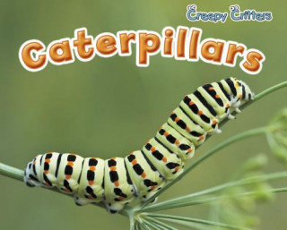 Kniha Caterpillars Rebecca Rissman