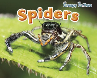 Книга Spiders Sian Smith