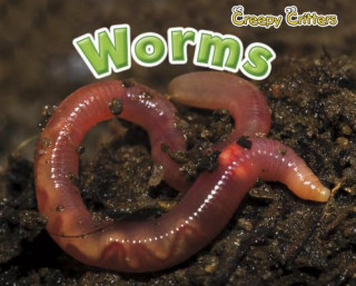 Carte Worms Sian Smith