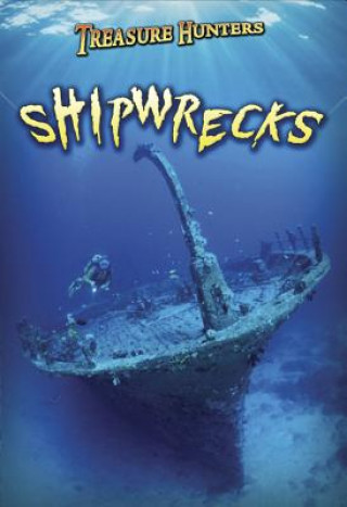 Kniha Shipwrecks Nick Hunter