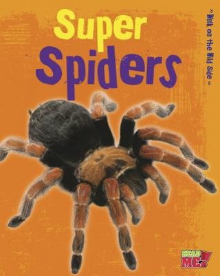 Book Super Spiders Charlotte Guillain
