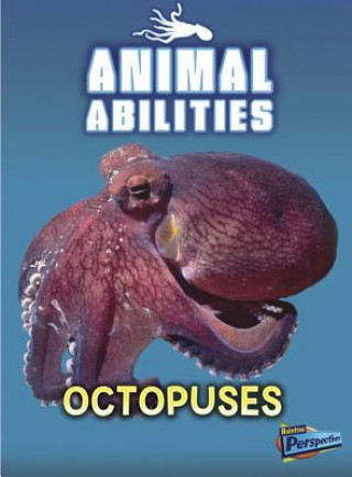 Könyv Octopuses Anna Claybourne