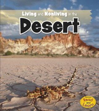 Kniha Living and Nonliving in the Desert Rebecca Rissman