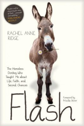 Kniha Flash Rachel Anne Ridge