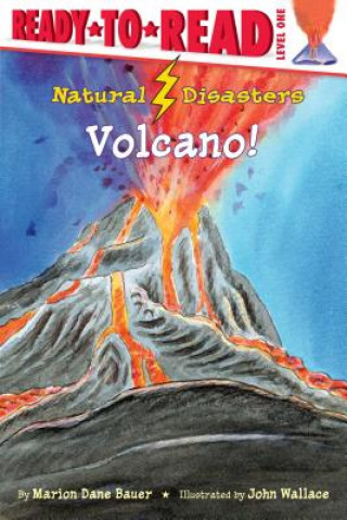 Könyv Natural Disasters Marion Dane Bauer