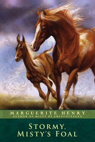 Kniha Stormy Marguerite Henry