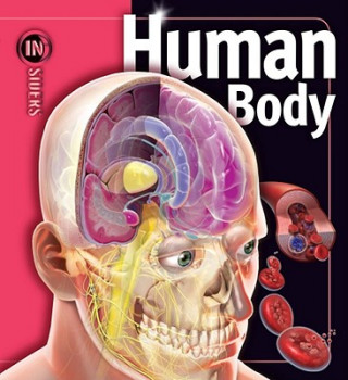 Könyv Human Body Linda Calabresi