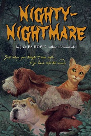 Könyv Nighty-nightmare James Howe