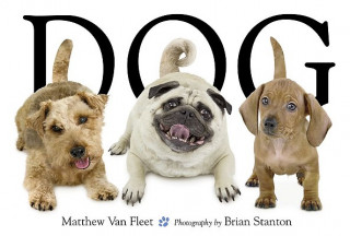 Könyv Dog Matthew Van Fleet