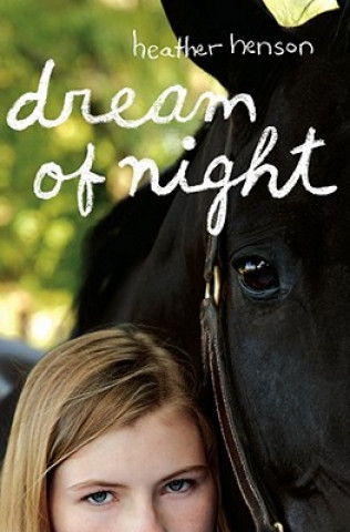 Buch Dream of Night Heather Henson