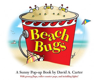 Könyv Beach Bugs David A. Carter