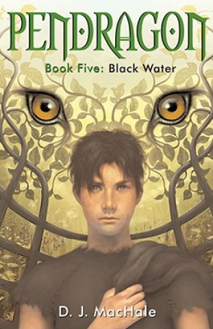 Книга Black Water D. J. Machale