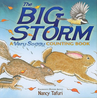 Kniha The Big Storm Nancy Tafuri