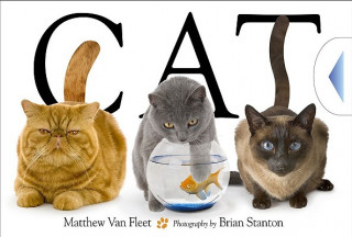 Książka Cat Matthew Van Fleet