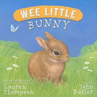 Könyv Wee Little Bunny Lauren Thompson