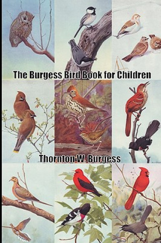 Książka The Burgess Bird Book for Children Thornton W. Burgess