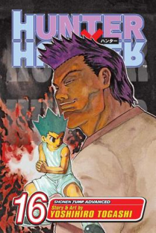 Book Hunter X Hunter 16 Yoshihiro Togashi