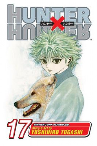 Book Hunter x Hunter, Vol. 17 Yoshihiro Togashi
