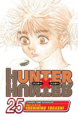 Könyv Hunter x Hunter, Vol. 25 Yoshihiro Togashi