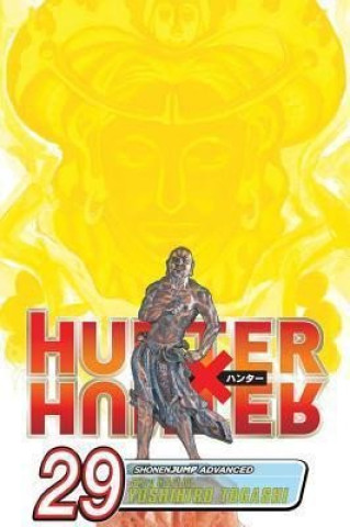 Kniha Hunter X Hunter 29 Yoshihiro Togashi