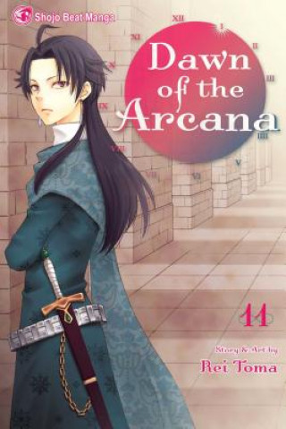 Книга Dawn of the Arcana, Vol. 11 Rei Toma