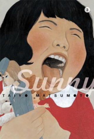 Kniha Sunny, Vol. 3 Taiyo Matsumoto