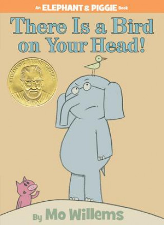 Kniha There Is a Bird on Your Head! Mo Willems