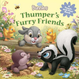 Kniha Disney Bunnies Thumper's Furry Friends Kelsey Skea