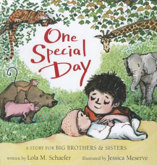 Knjiga One Special Day Lola M. Schaefer