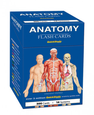 Materiale tipărite Anatomy Flash Cards Vincent Perez